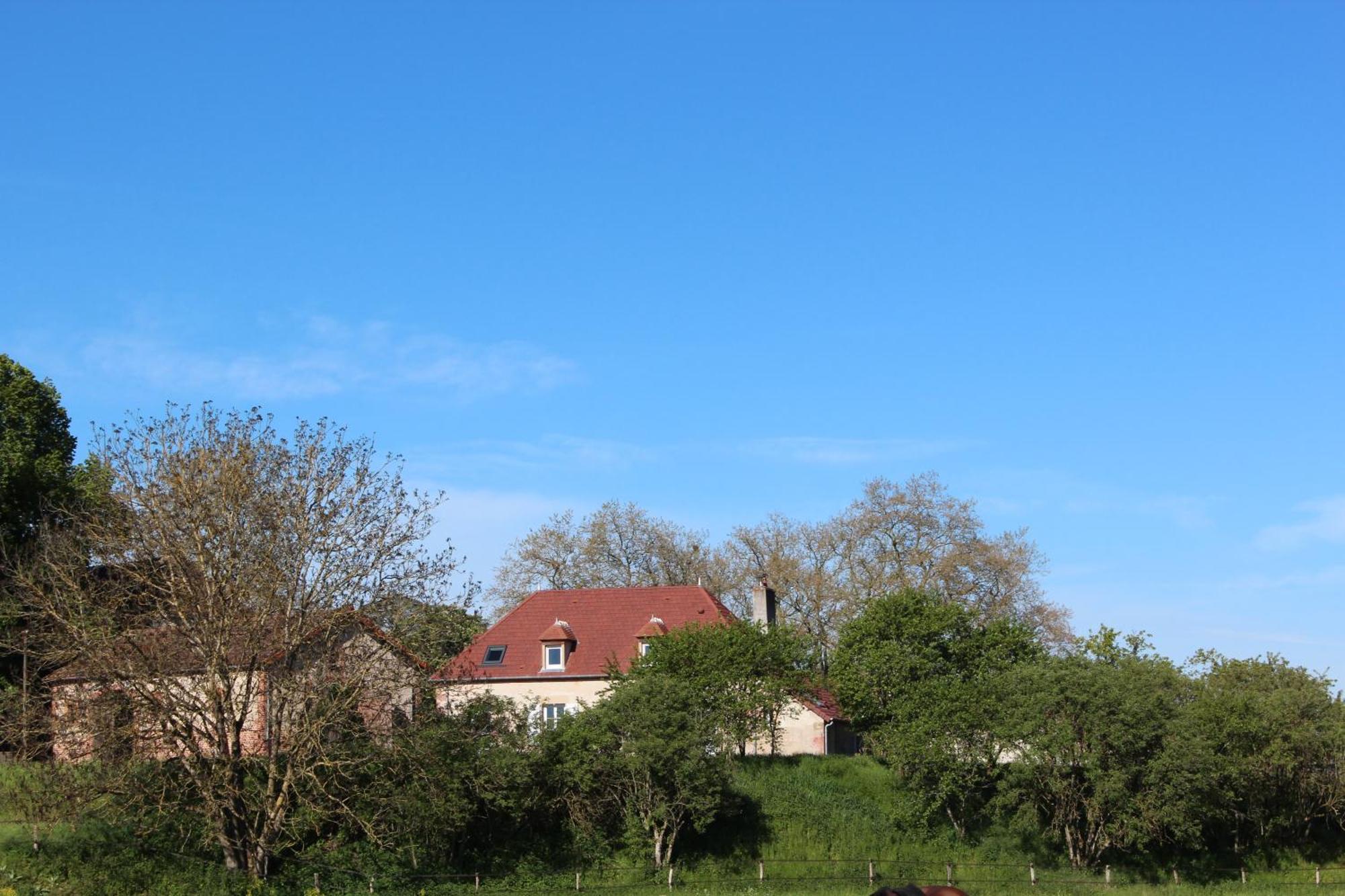 Gite Domaine St Georges Villa Bagneux  Eksteriør billede